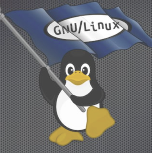 Linux Install Service