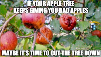 bad apples